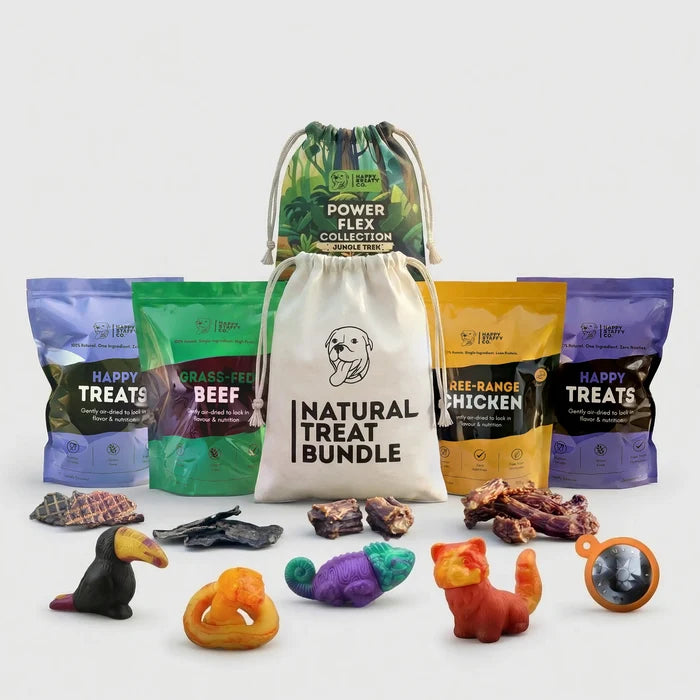 Treat & Toy Bundle (PowerFlex™ Collection)