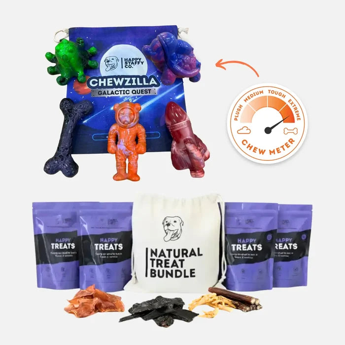 Treat & Toy Combo (Chewzilla® Galactic Quest Collection)