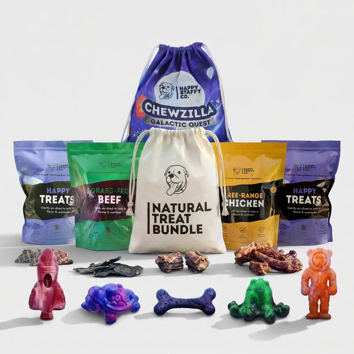 Treat & Toy Combo (Chewzilla® Galactic Quest Collection)