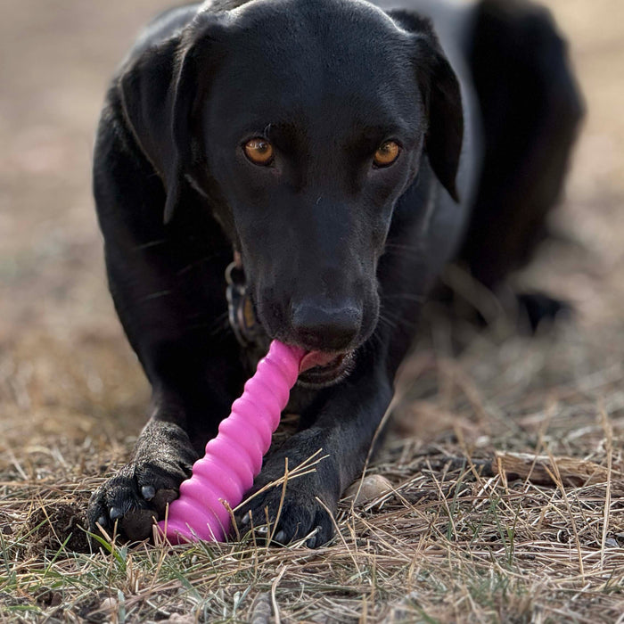 Unicorn Horn Spiral Nylon Chew
