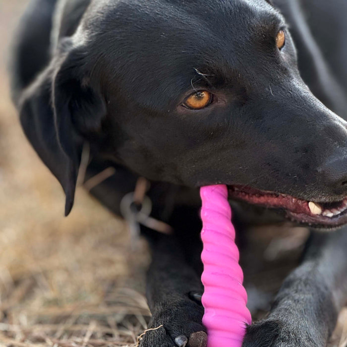 Unicorn Horn Spiral Nylon Chew