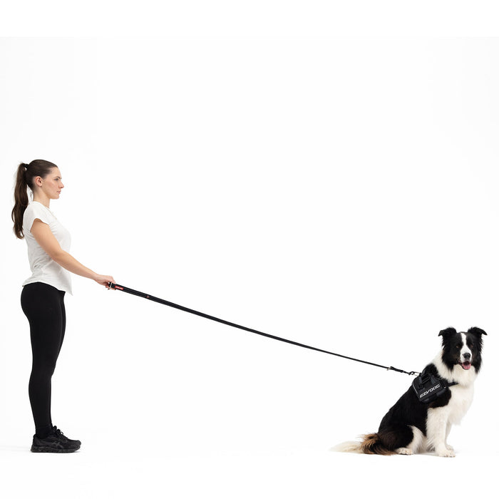 woman handling dog with vario 4 multi functional leash