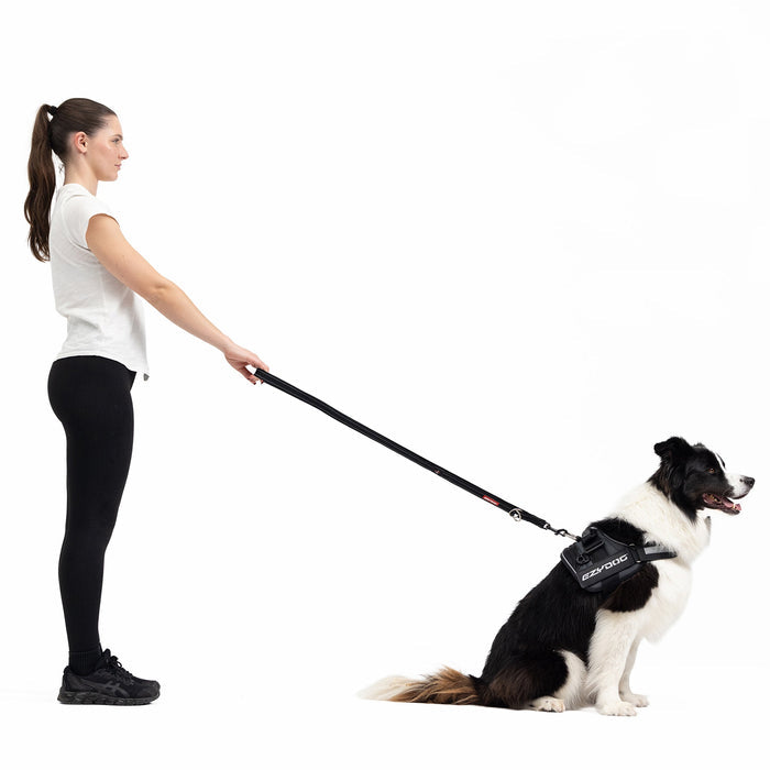 Woman holding dog with ezydog vario 4 multi functional leash
