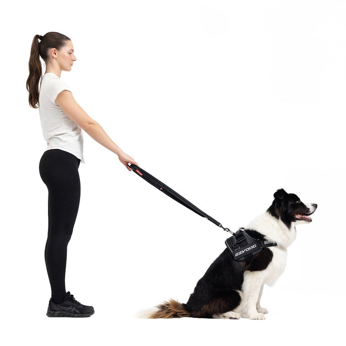 holding dog with vario 4 multi functional leash