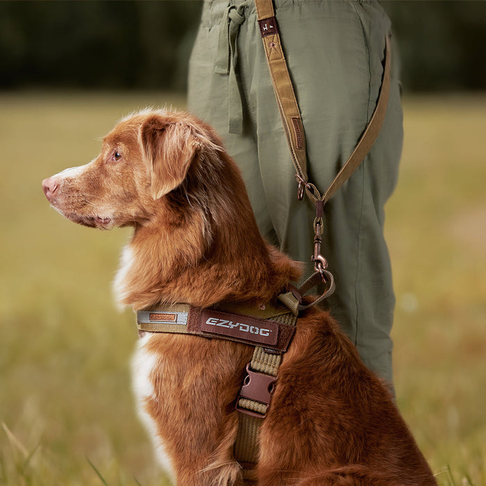 dog with vario 4 multi functional leash