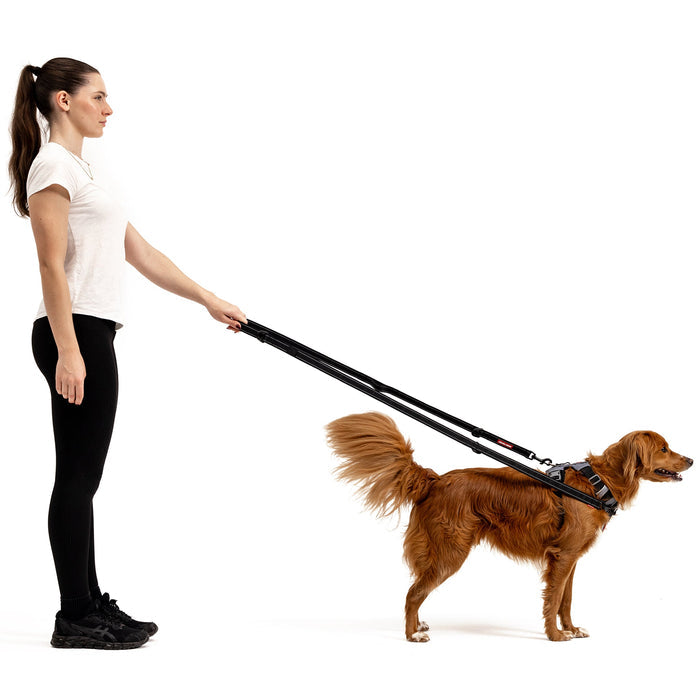 Woman handling dog with Vario 6 Multi Function Leash