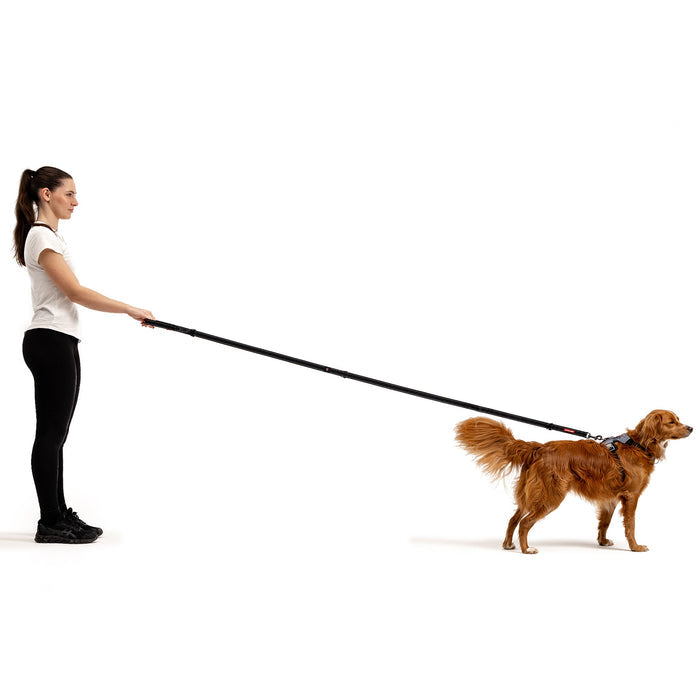 woman holding dog with Vario 6 Multi Function Leash