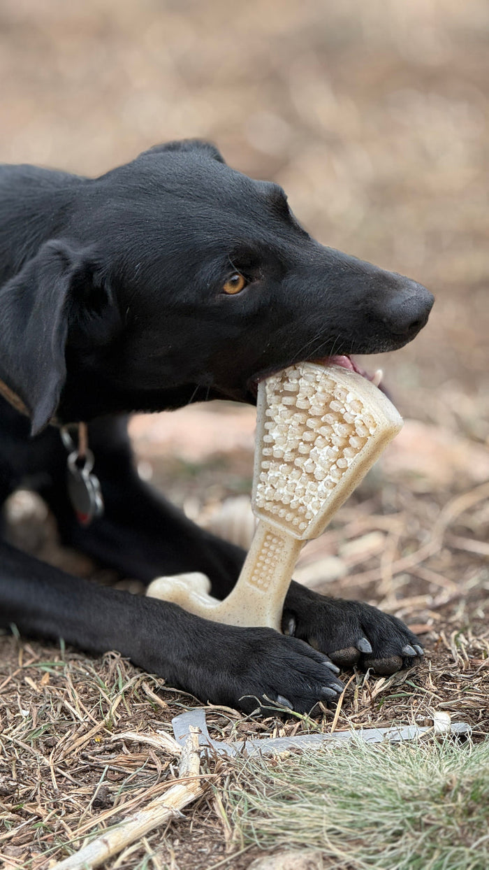 Waffle Tower Nylon Treat Toy
