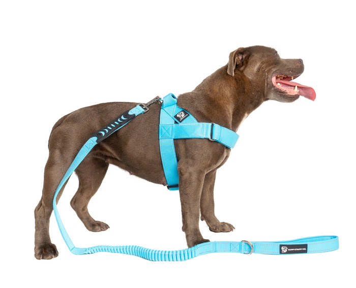 Walkies Starter Pack