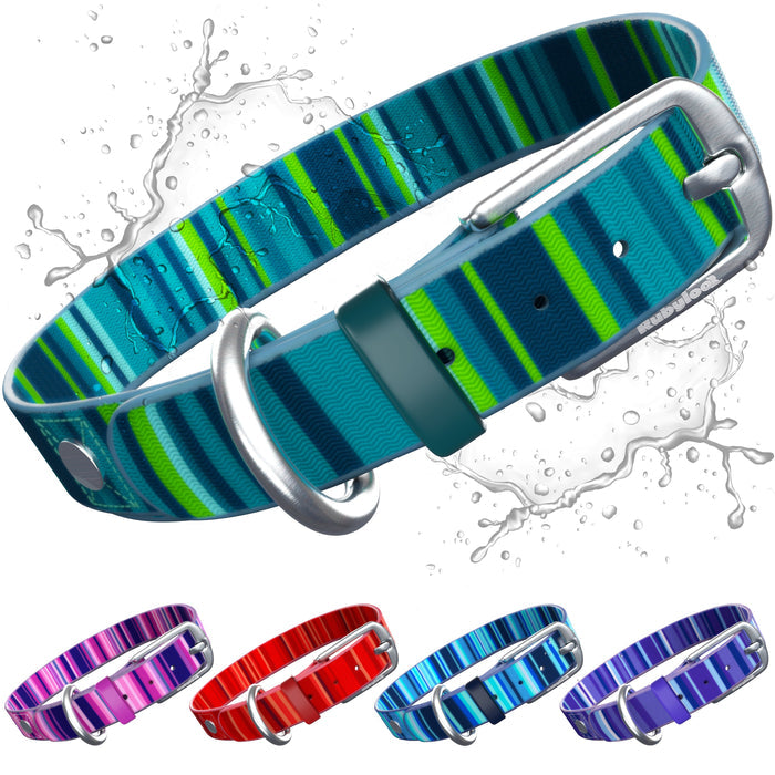 Washable Dog Collar for Muddy Walks