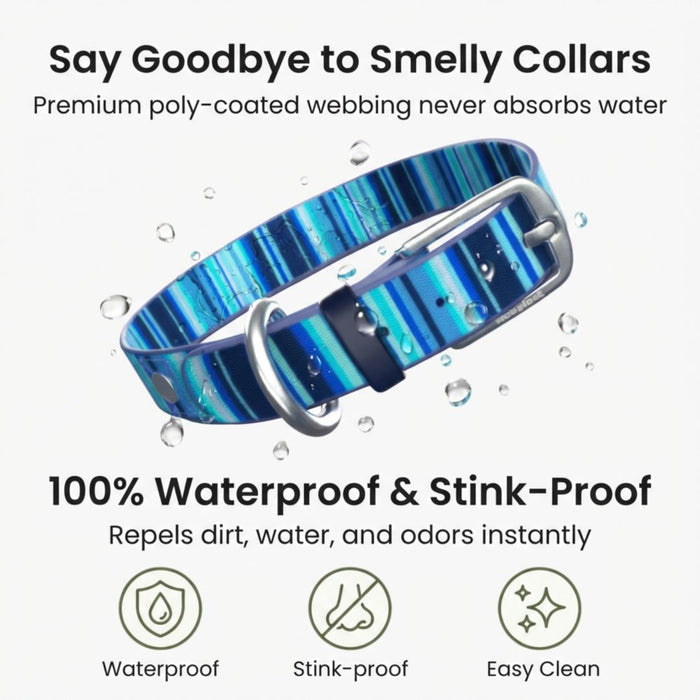 Washable Dog Collar for Muddy Walks