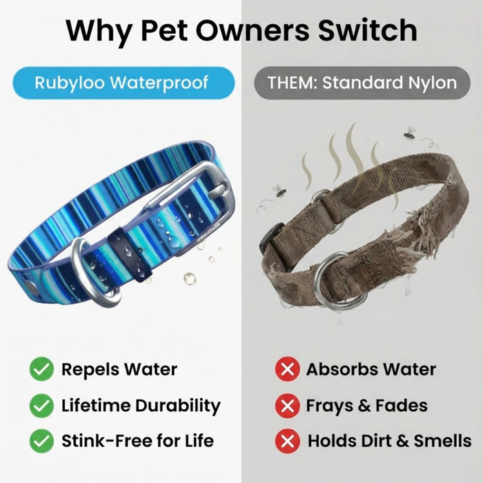 Washable Dog Collar for Muddy Walks