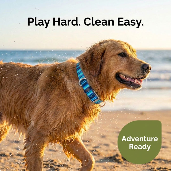 Washable Dog Collar for Muddy Walks