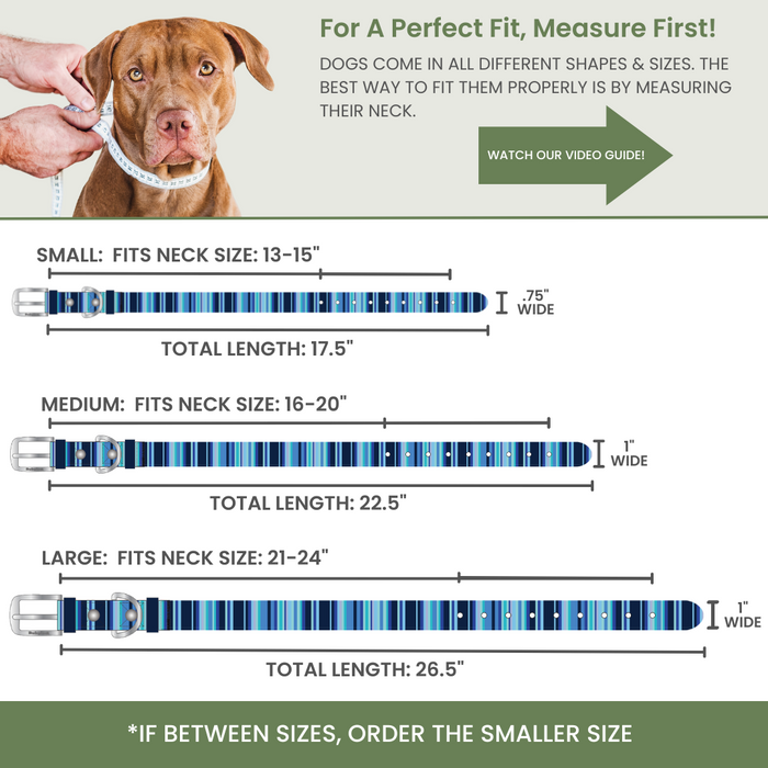 Washable Dog Collar for Muddy Walks