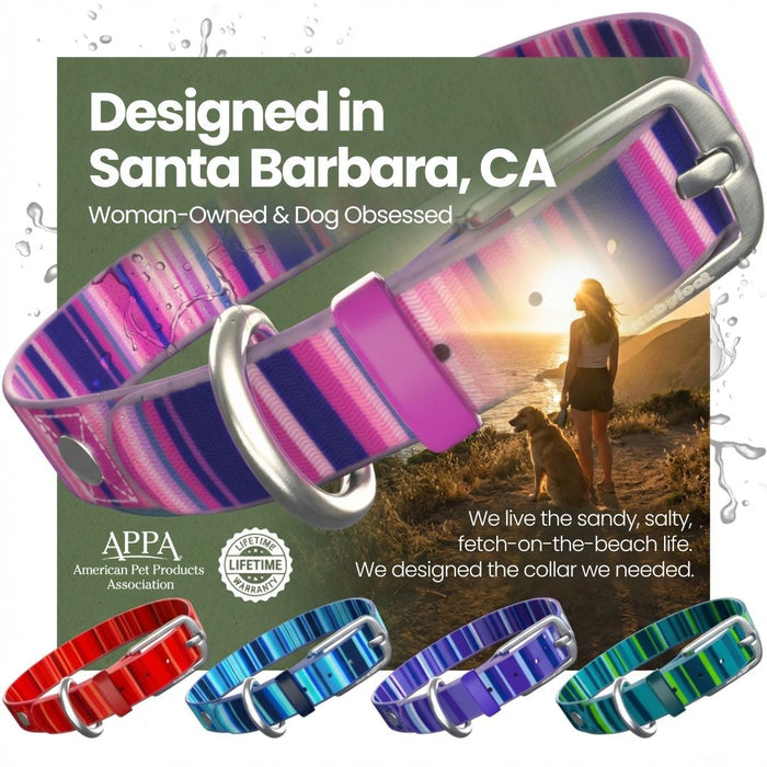 Washable Dog Collar for Muddy Walks