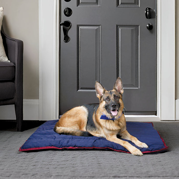 Washable Rest Pillow for Crates & Carriers