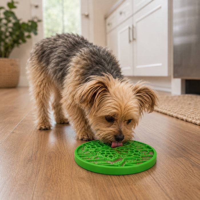 Water Turtle Nylon Lick Disc