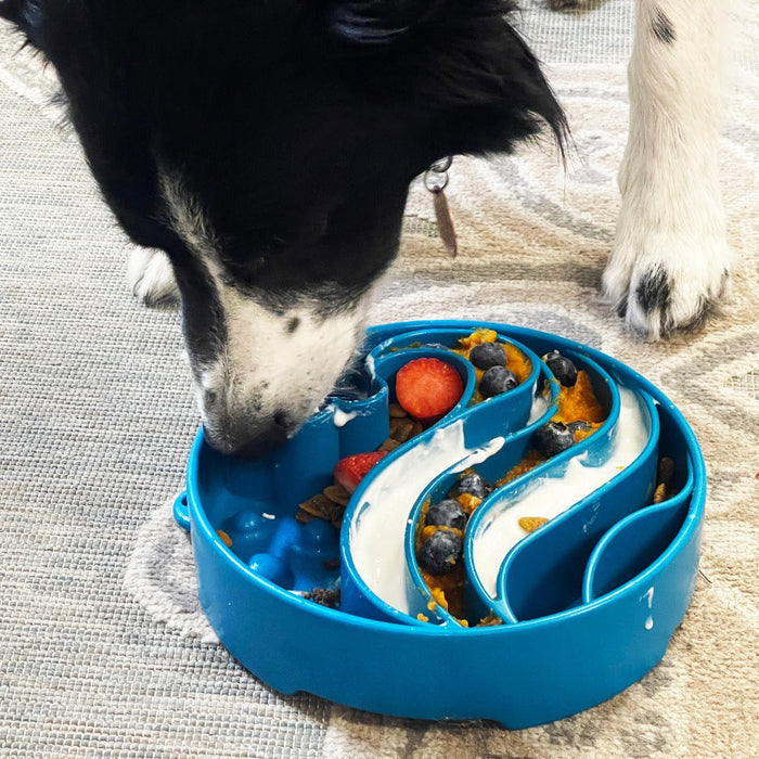 Wave-Channel Dog Bowl with a Deep Profile