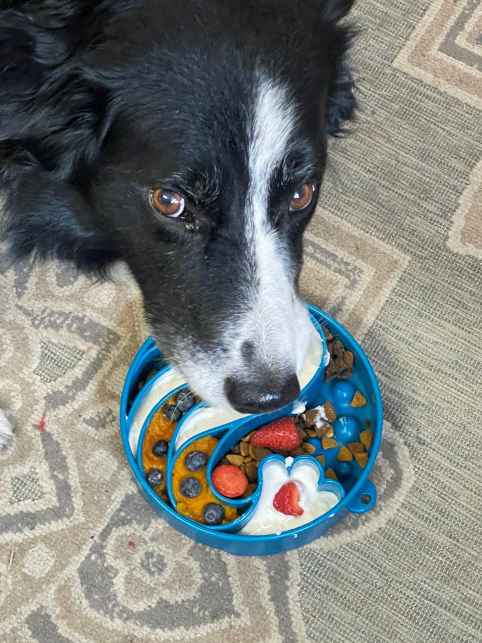 Wave-Channel Dog Bowl with a Deep Profile