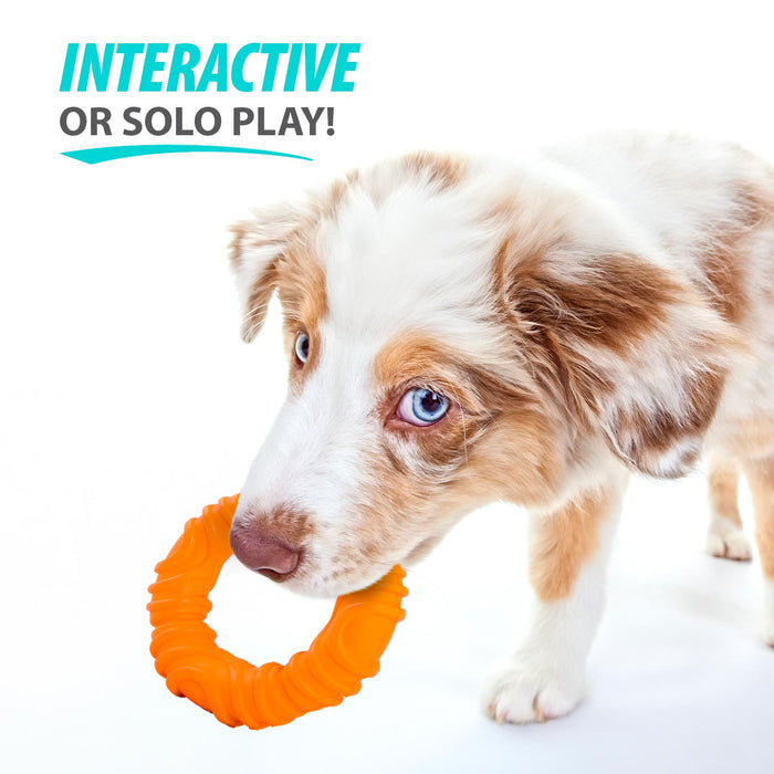 Wavy Ring for Tug-and-Fetch Play