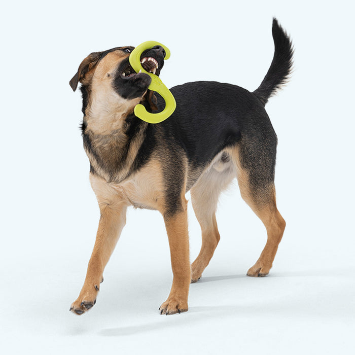 West Paw Bumi Tug & Fetch Dog Toy — Flexible Toy for Gentle Chewers