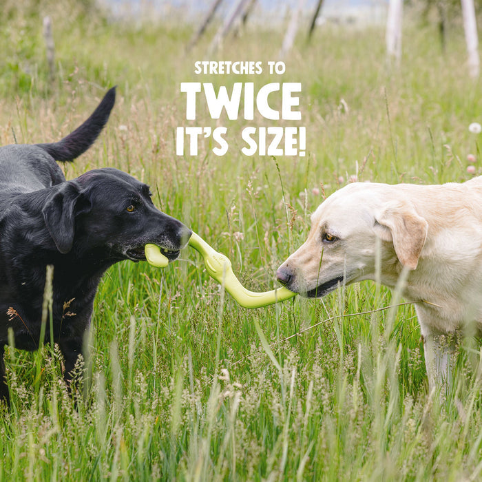 West Paw Bumi Tug & Fetch Dog Toy — Flexible Toy for Gentle Chewers