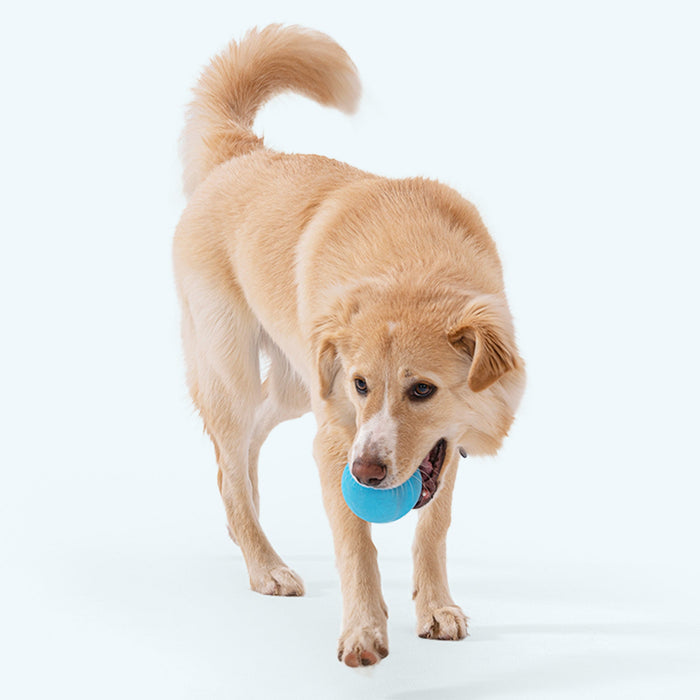 West Paw Jive Bouncy Dog Ball — Durable Fetch Toy for Tough Chewers