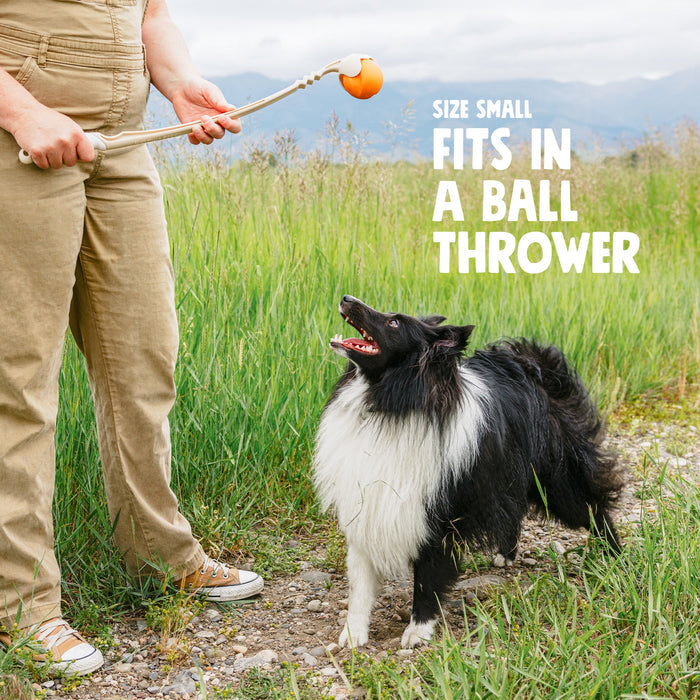 West Paw Jive Bouncy Dog Ball — Durable Fetch Toy for Tough Chewers