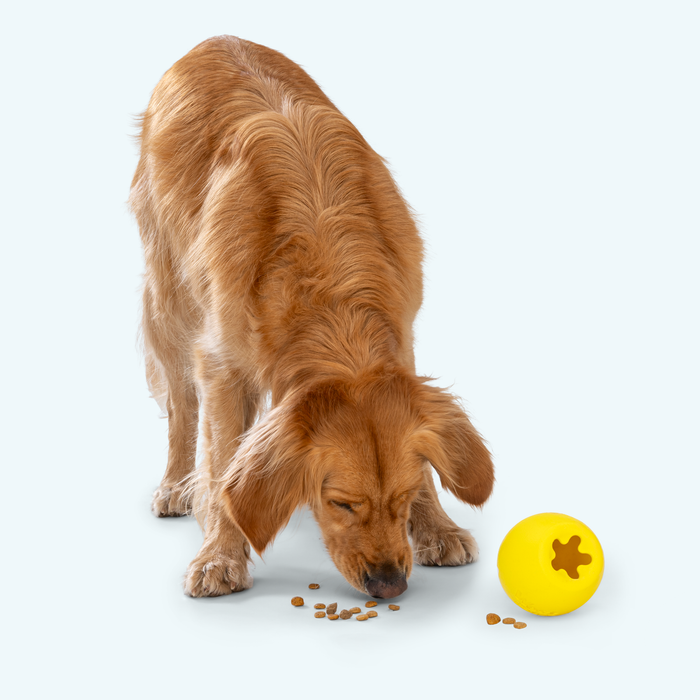 West Paw Rumbl Treat Dispensing Dog Toy — Puzzle Toy for Boredom