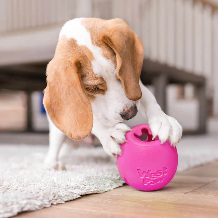 West Paw Rumbl Treat Dispensing Dog Toy — Puzzle Toy for Boredom