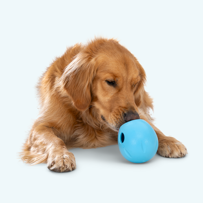 West Paw Rumbl Treat Dispensing Dog Toy — Puzzle Toy for Boredom
