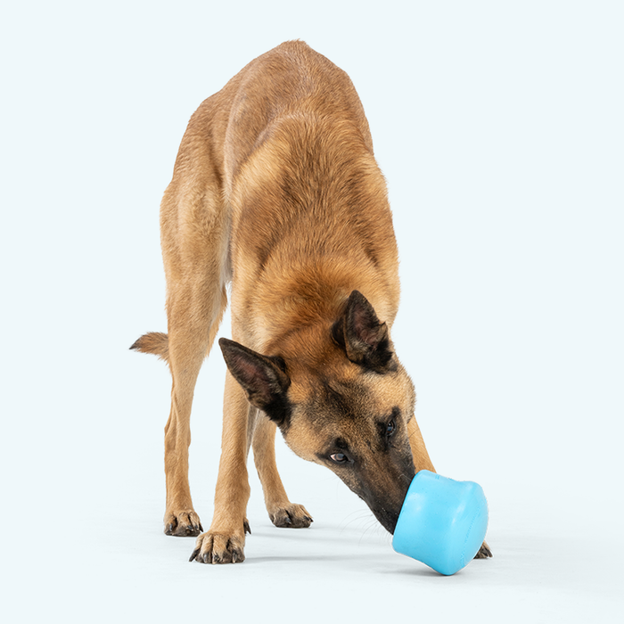 West Paw Toppl Treat Puzzle Dog Toy — Slow Feeder for Moderate Chewers