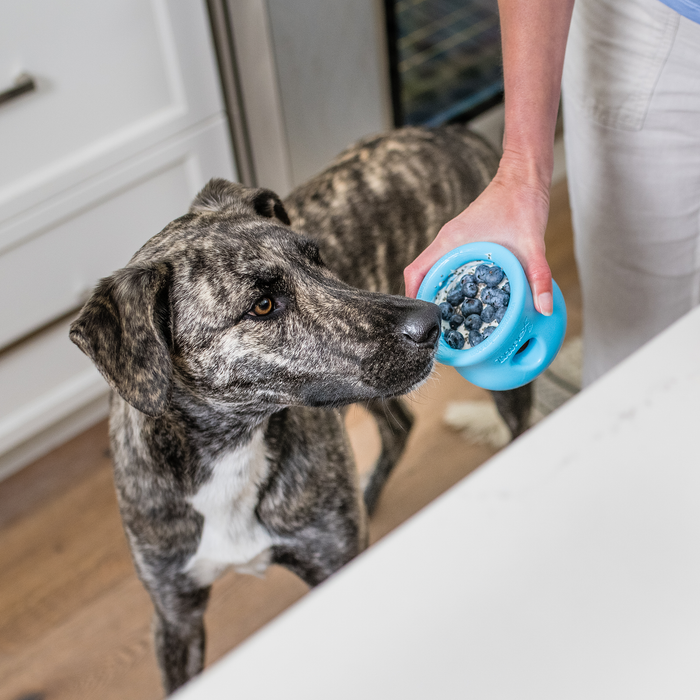 West Paw Toppl Treat Puzzle Dog Toy — Slow Feeder for Moderate Chewers