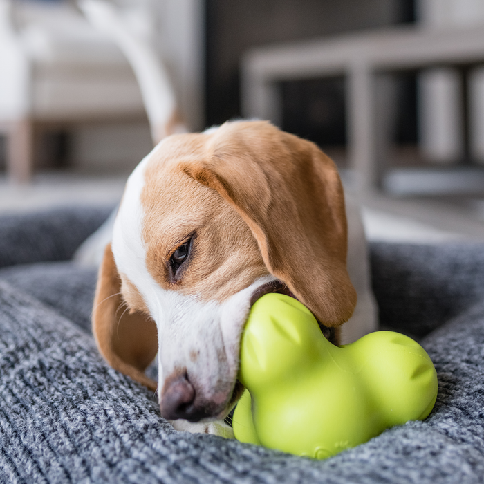 West Paw Tux Treat Dispensing Dog Toy — Built for Tough Chewers
