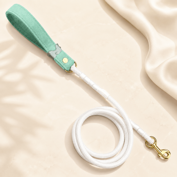 White Rope Dog Lead
