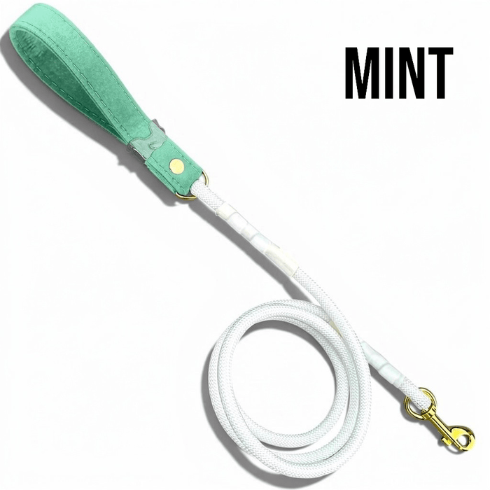 White Rope Dog Lead