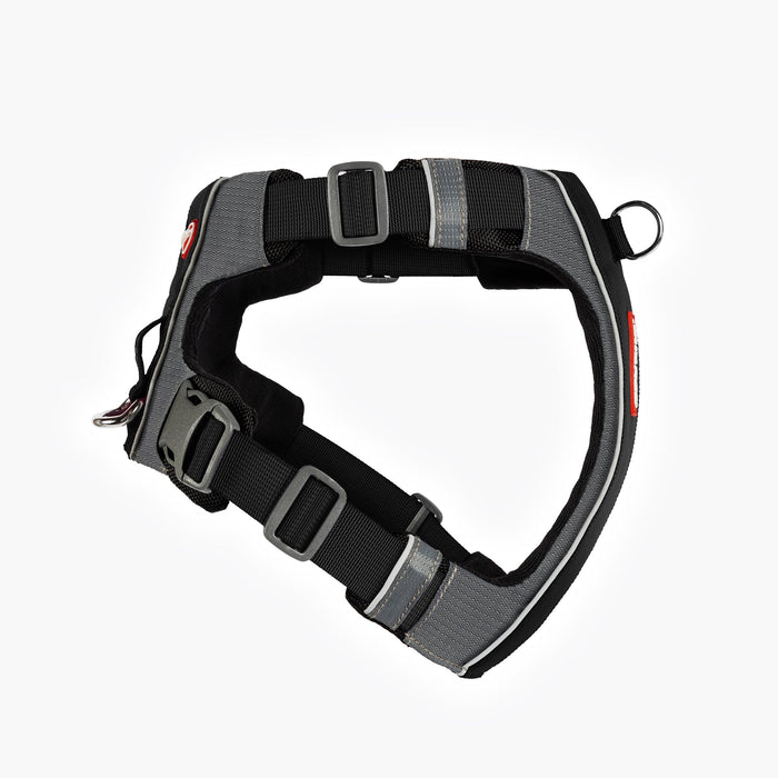 RHS view of black EzyDog X-Link Harness with padded chest plate and no-pull front clip