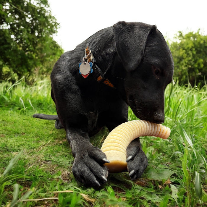 XL Flufflehorn Ridged Nylon Chew