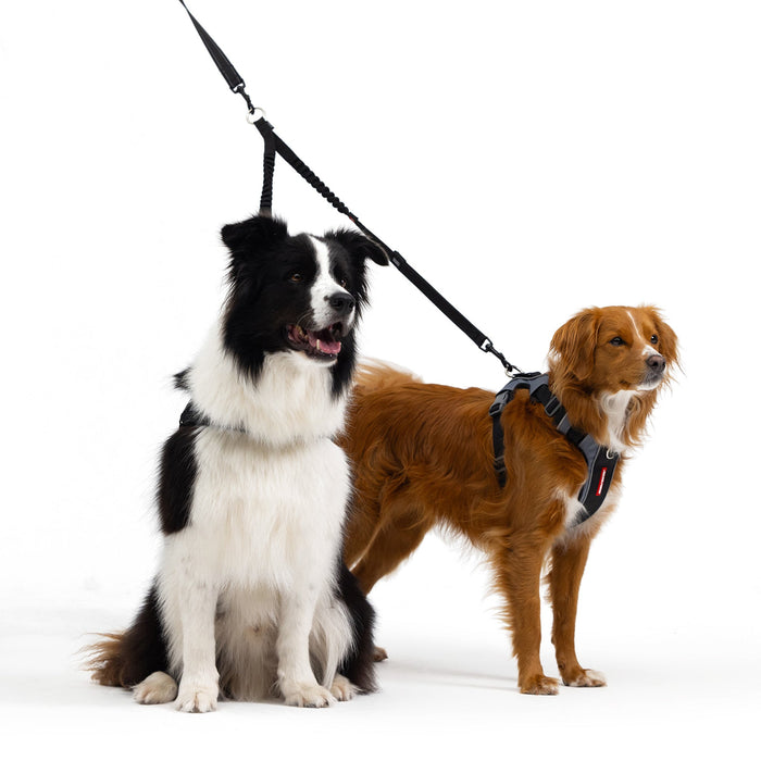 EzyDog Zero Shock Coupler Dog Leash