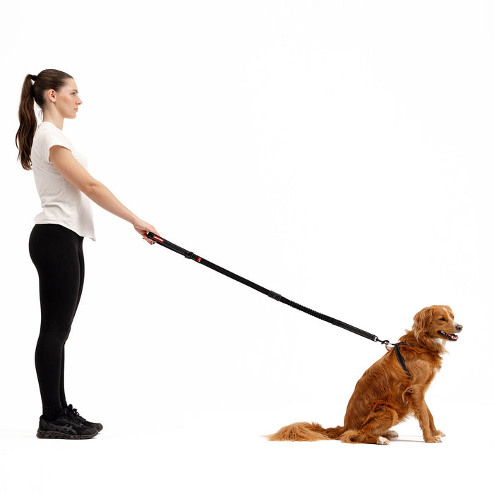 Woman handling dog with Zero Shock Dog Leash
