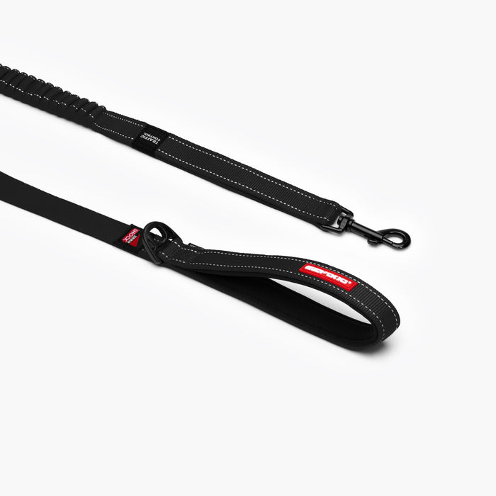 zero shock leash from EzyDog