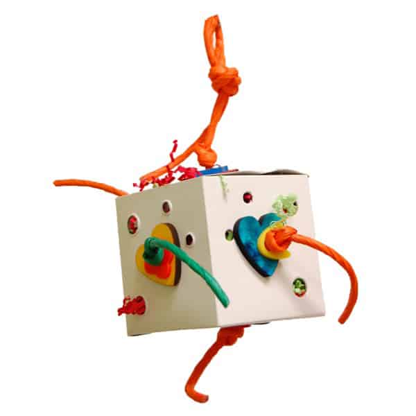 ZooMax 432 FUN-BOX 4″ (10 X 8)